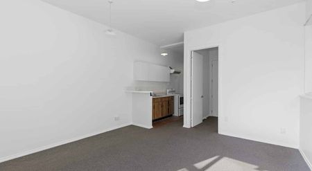 303/d Happy Valley Road, Owhiro Bay, Wellington City - Photo 4