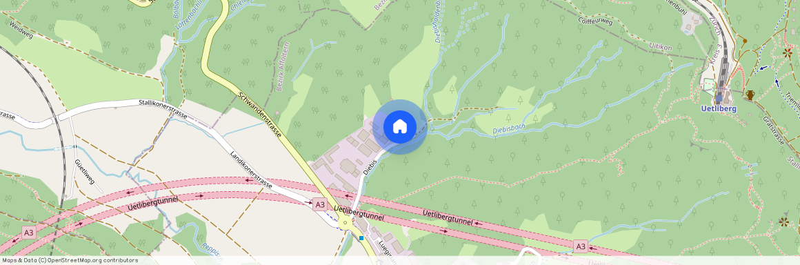8143, Stallikon, Diebis, 45