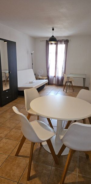 Location Appartement 1 pièce 29m² TAIN L HERMITAGE 26600 - Photo 1