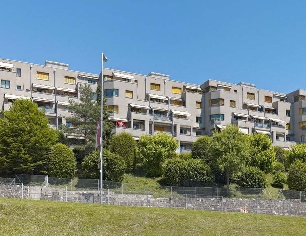 A louer sans caution - Spacieux studio sur la Côte - Foto 1