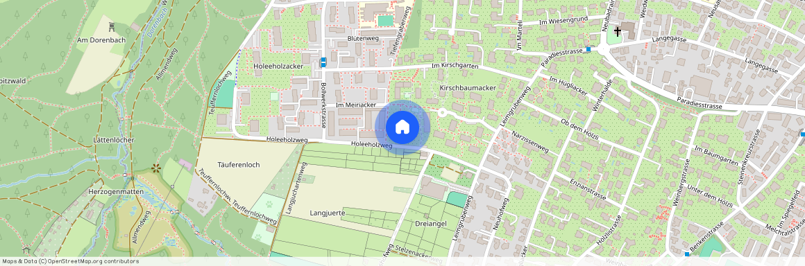 4102, Binningen, Nussbaumweg, 15