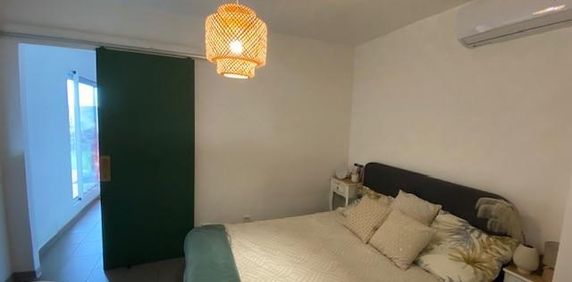 Location Appartement 2 pièces 44m² TERRE SAINTE 97410 - Photo 2