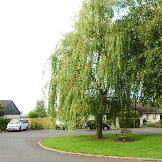 À ST LAURENT - Photo 1