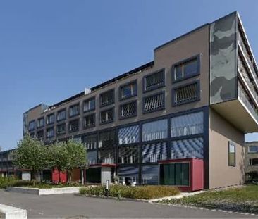 6.5 Zimmer, 143 m², 1. Stock - Foto 5