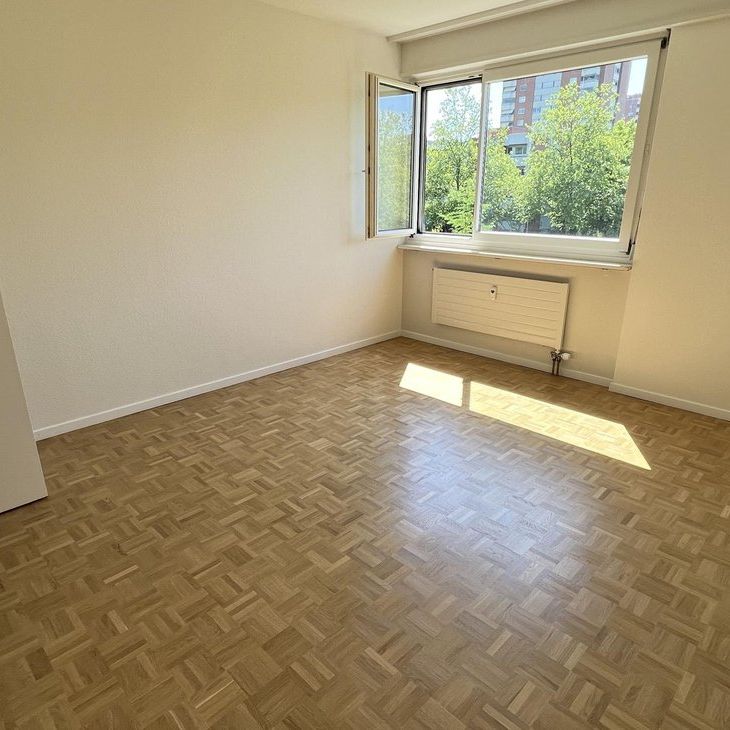 Urbanes Wohnen im Grünen: 2019 sanierte 3-Zimmerwohnung in Muttenz - Photo 1