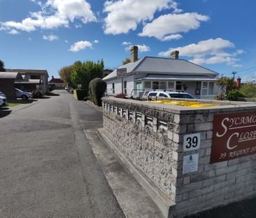 4/39 Regent St, Sandy Bay TAS 7005 - Apartment For Rent | Domain - Photo 1