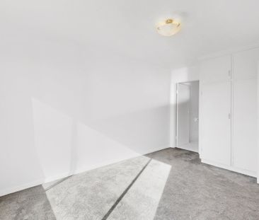 Centrally Located Apartment - Photo 4