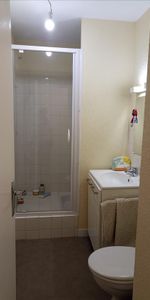 1 pièce - 19 m² - 1er étage - Colocation non autorisée - Photo 4