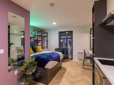 Premium Plus Studio - Photo 2