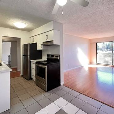 Bright 2 bedroom apartment with patio - Photo 3