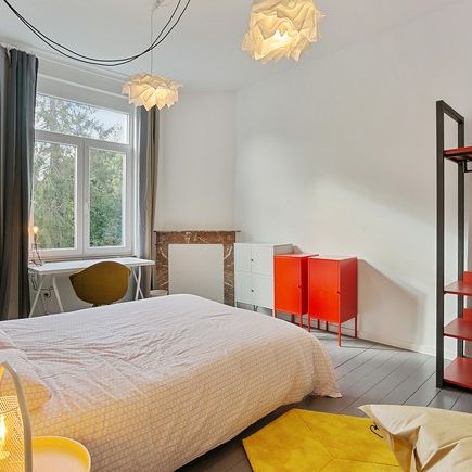 Room at Chaussée de Waterloo 463 - Photo 3