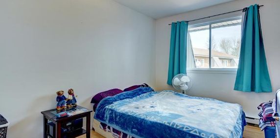 Appartement 3 ½ à louer Montcalm / Saint-Sacrement juillet 2026 - Photo 2