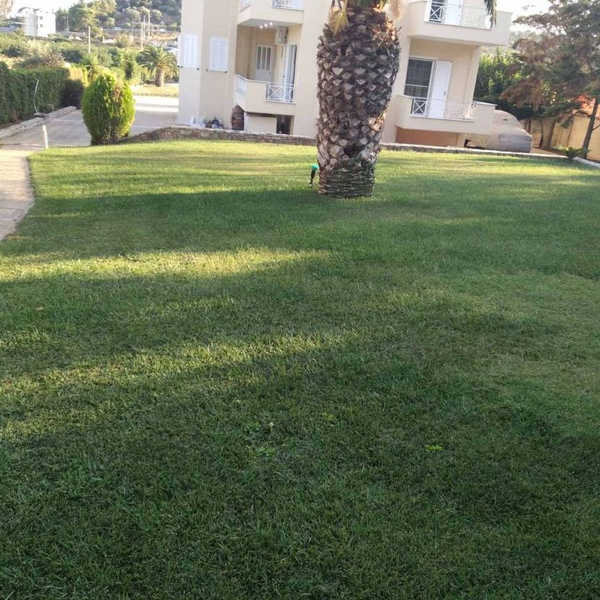 Διαμέρισμα για ενοικίαση - Μαρκόπουλο, - Photo 2