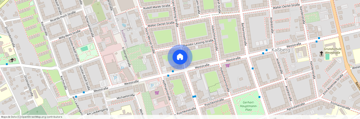 Franz-Mehring-Str. 3, 09112 Chemnitz