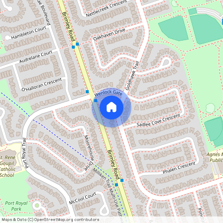 197 Goldhawk Trail #Bsmt, Toronto, Milliken