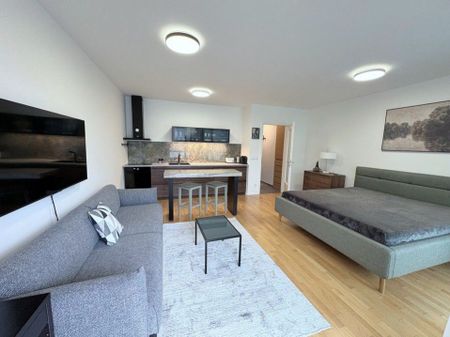 Apartment for rent, 1+KK - Studio, 45m - Photo 4