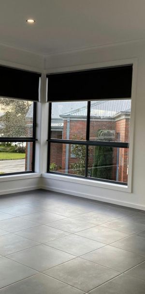 Brand New Townhouse with Lake View - Photo 1