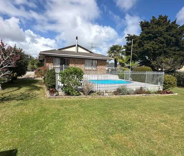 Three bedroom house with a nice backyard - Photo 4