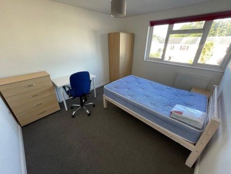 5 bedroom house share to rent - Photo 4