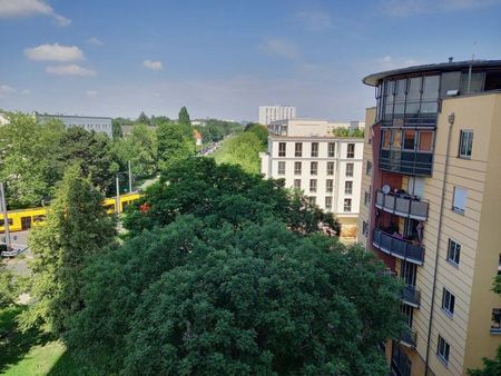 Seniorenwohnung mit viel Platz- Betreutes Wohnen im Haus möglich - Photo 4