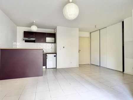 Location Appartement 2 pièces 41m² RAMONVILLE ST AGNE 31520 - Photo 4