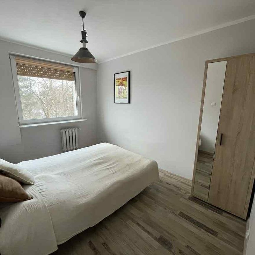 Widok Na Morze Winda Długi Termin Zwierzęta Sopot - Photo 1