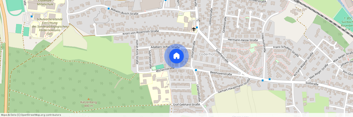 Lichtenthalerstraße 8, 92237 Bayern - Sulzbach-Rosenberg