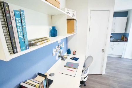 Deluxe Studio - Photo 5