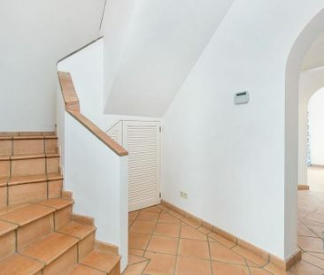 Além, Santarem - Photo 6