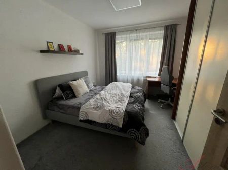 Pronájem bytu po rekonstrukci,, 2+1 s balkonem, Studénka - Photo 4