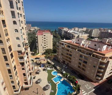Exclusive Apartment for LONG STAY RENTAL in Los Frutales, Torrevieja - Photo 4