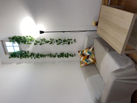 Estudio de alquiler en Calle de la Ribera de Curtidores, 4, Embajadores - Lavapiés - Photo 5