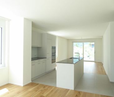 4 1/2-Zimmer-Wohnung - Neubauprojekt "Rheincity" - Foto 5