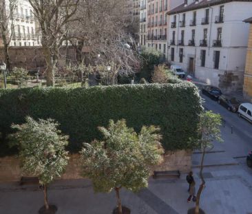 Studio for rent in Palacio, Madrid. - Photo 6