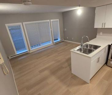 Newly Renovated 1bed 1bath in Marpole! *LOWERED* - Photo 2