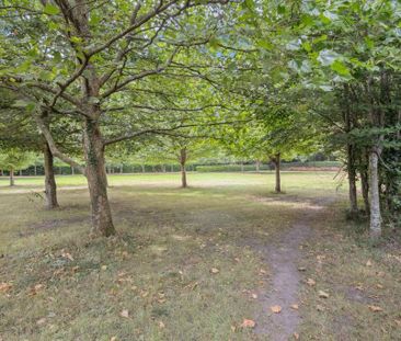 1 bedroom serviced apartment to rent - Photo 6