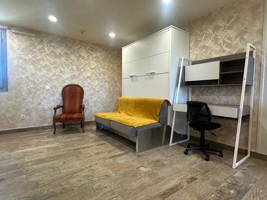 Location Appartement 1 pièce 26m² DARDILLY 69570 - Photo 1