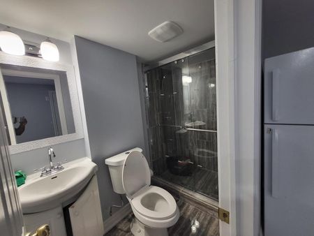 For Lease - 25 Silent Pond Crescent Unit# Bsmt, Brampton, Ontario - Photo 4