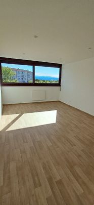 T3 ENTIEREMENT RENOVE AVENUE JEAN GIONO - Photo 1