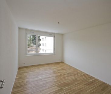 Haus im Glück - Foto 5