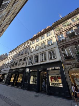 Location Appartement 3 pièces 76m² STRASBOURG 67000 - Photo 1