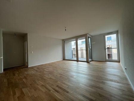 LE TICLE : Appartements neufs à louer - Photo 2