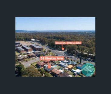 56 Kimian Avenue, Waratah West, NSW 2298 - Photo 3