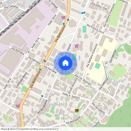Via Olgiati 20B, 6512 Giubiasco
