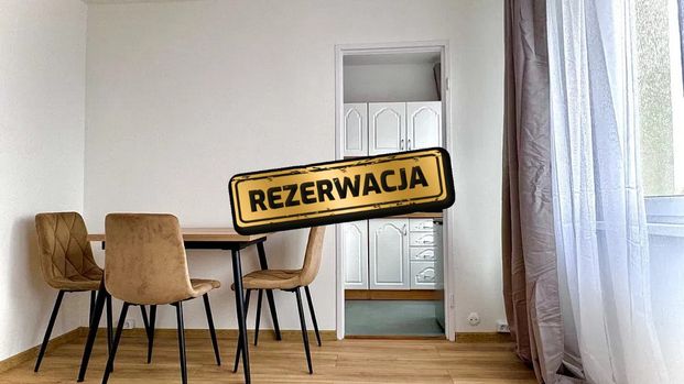 Kawalerka 25 m2 na wynajem Tarnów ul. Szpitalna - Zdjęcie 1