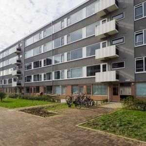 Auriollaan, 3527 Utrecht, Nederland - Photo 2