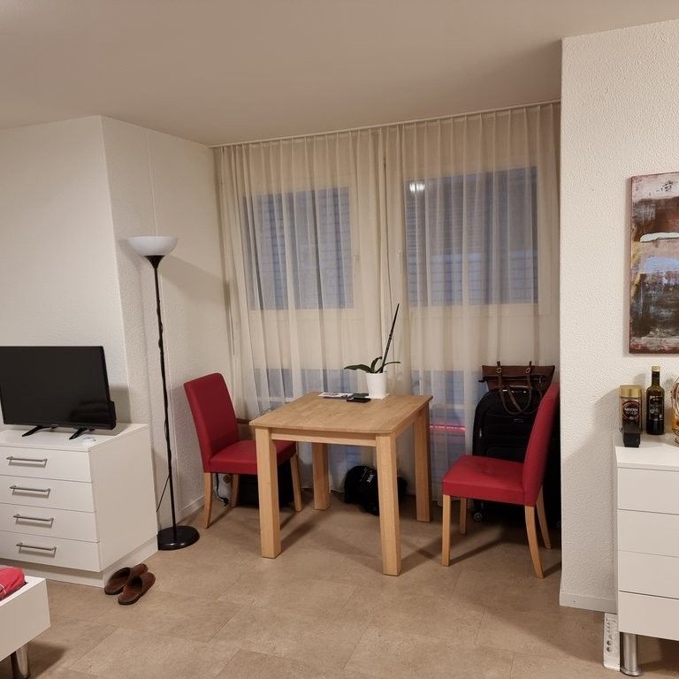 Möblierte Wohnung in Mitten von Zürich - Photo 1