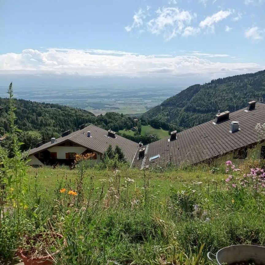 Studio 1 pièce à Ste-Croix - Photo 1