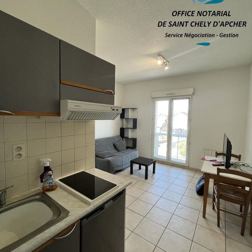 A LOUER STUDIO MEUBLE A SAINT CHELY D'APCHER - Photo 1