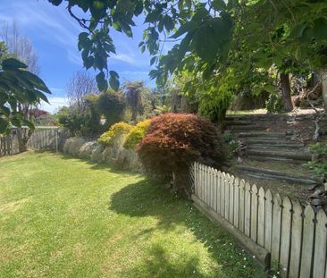 Sunny on Strode - Photo 6